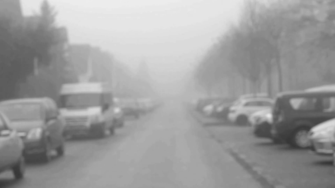 Fog Stock Footage Free Download